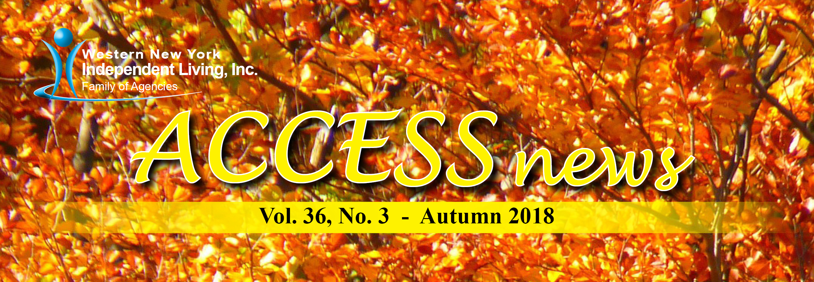 ACCESS news Autumn 2018