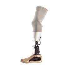 prosthetic leg